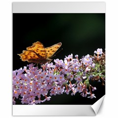 Butterfly Sitting On Flowers Canvas 16  X 20  