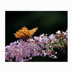 Butterfly Sitting On Flowers Small Glasses Cloth (2-side)