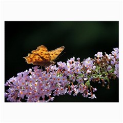 Butterfly Sitting On Flowers Large Glasses Cloth