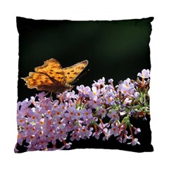 Butterfly Sitting On Flowers Standard Cushion Case (one Side)