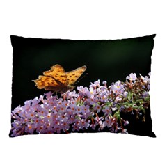 Butterfly Sitting On Flowers Pillow Case by picsaspassion