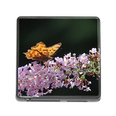 Butterfly Sitting On Flowers Memory Card Reader (square)