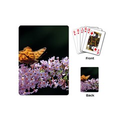 Butterfly Sitting On Flowers Playing Cards (mini) 