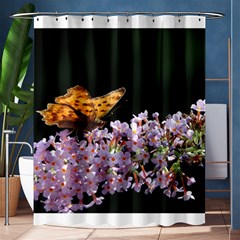 Butterfly Sitting On Flowers Shower Curtain 60  X 72  (medium) 