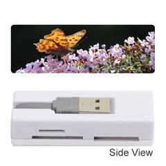 Butterfly Sitting On Flowers Memory Card Reader (stick) 