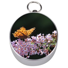 Butterfly Sitting On Flowers Silver Compasses by picsaspassion