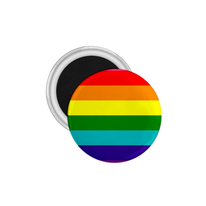 Colorful Stripes Lgbt Rainbow Flag 1.75  Magnets