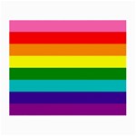 Colorful Stripes Lgbt Rainbow Flag Small Glasses Cloth Front