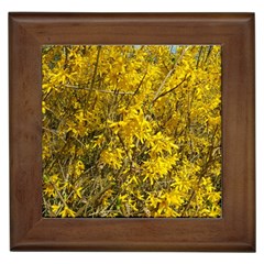 Nature, Yellow Orange Tree Photography Framed Tiles