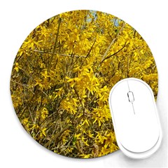 Nature, Yellow Orange Tree Photography Round Mousepads by yoursparklingshop