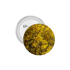 Nature, Yellow Orange Tree Photography 1 75  Buttons by yoursparklingshop