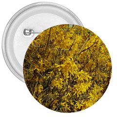 Nature, Yellow Orange Tree Photography 3  Buttons by yoursparklingshop