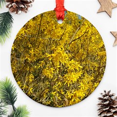 Nature, Yellow Orange Tree Photography Ornament (round)  by yoursparklingshop