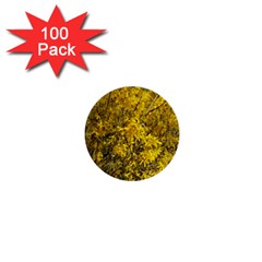 Nature, Yellow Orange Tree Photography 1  Mini Buttons (100 Pack) 