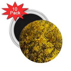 Nature, Yellow Orange Tree Photography 2 25  Magnets (10 Pack)  by yoursparklingshop