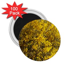 Nature, Yellow Orange Tree Photography 2 25  Magnets (100 Pack)  by yoursparklingshop