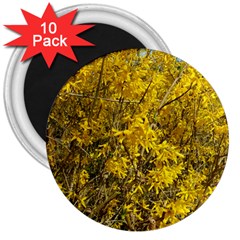 Nature, Yellow Orange Tree Photography 3  Magnets (10 Pack) 