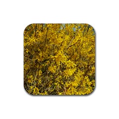 Nature, Yellow Orange Tree Photography Rubber Coaster (square) 