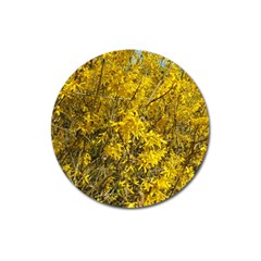 Nature, Yellow Orange Tree Photography Magnet 3  (round)