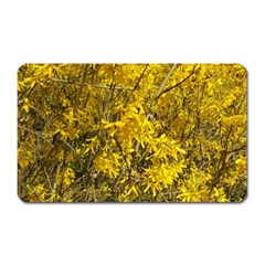 Nature, Yellow Orange Tree Photography Magnet (rectangular) by yoursparklingshop