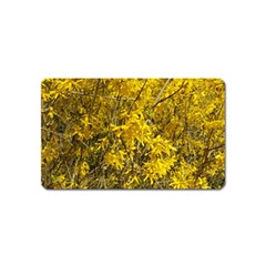 Nature, Yellow Orange Tree Photography Magnet (name Card)