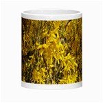 Nature, Yellow Orange Tree Photography Morph Mugs Center