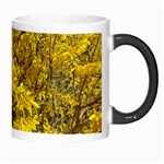 Nature, Yellow Orange Tree Photography Morph Mugs Right