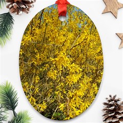 Nature, Yellow Orange Tree Photography Oval Ornament (two Sides)