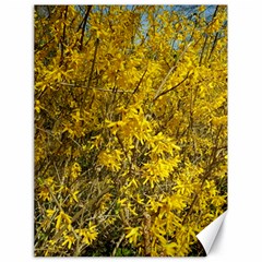 Nature, Yellow Orange Tree Photography Canvas 18  X 24  