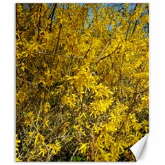 Nature, Yellow Orange Tree Photography Canvas 20  X 24  