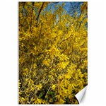 Nature, Yellow Orange Tree Photography Canvas 20  x 30   19.62 x28.9  Canvas - 1