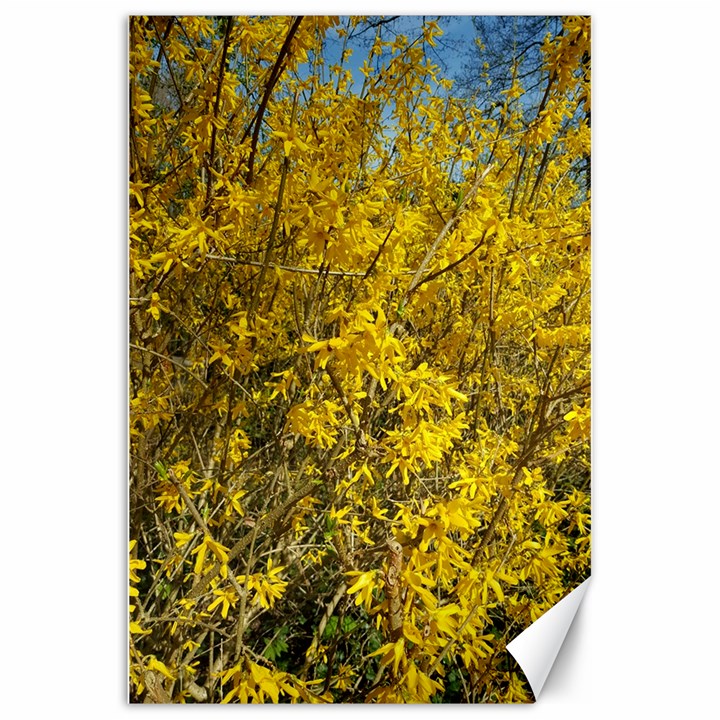 Nature, Yellow Orange Tree Photography Canvas 20  x 30  