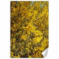 Nature, Yellow Orange Tree Photography Canvas 24  X 36 