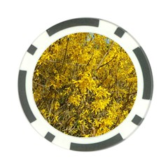 Nature, Yellow Orange Tree Photography Poker Chip Card Guards by yoursparklingshop