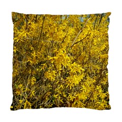 Nature, Yellow Orange Tree Photography Standard Cushion Case (one Side)