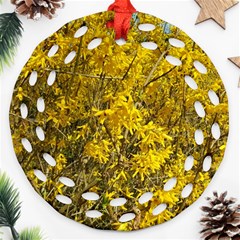 Nature, Yellow Orange Tree Photography Round Filigree Ornament (2side)