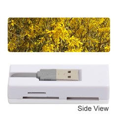 Nature, Yellow Orange Tree Photography Memory Card Reader (stick)  by yoursparklingshop