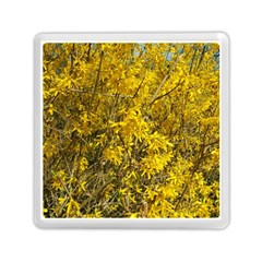 Nature, Yellow Orange Tree Photography Memory Card Reader (square)  by yoursparklingshop