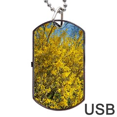 Nature, Yellow Orange Tree Photography Dog Tag Usb Flash (two Sides)  by yoursparklingshop