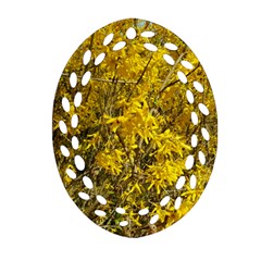 Nature, Yellow Orange Tree Photography Ornament (oval Filigree) 