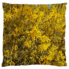 Nature, Yellow Orange Tree Photography Large Cushion Case (one Side) by yoursparklingshop