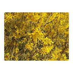 Nature, Yellow Orange Tree Photography Double Sided Flano Blanket (mini) 