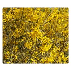 Nature, Yellow Orange Tree Photography Double Sided Flano Blanket (small) 