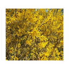 Nature, Yellow Orange Tree Photography Double Sided Flano Blanket (medium) 