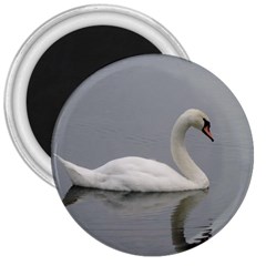 Swimming White Swan 3  Magnets