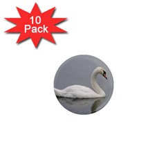 Swimming White Swan 1  Mini Magnet (10 Pack)  by picsaspassion