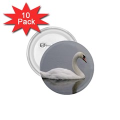 Swimming White Swan 1 75  Buttons (10 Pack)