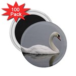 Swimming white Swan 2.25  Magnets (100 pack)  Front