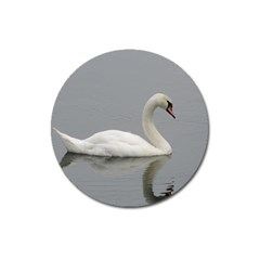 Swimming White Swan Magnet 3  (round)