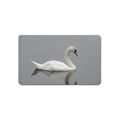 Swimming White Swan Magnet (name Card) by picsaspassion